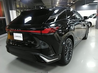 2025 Lexus RX 缩略图 19
