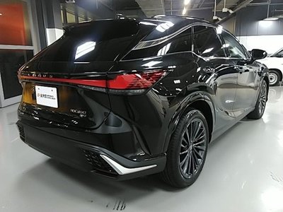 2025 Lexus RX 照片 3