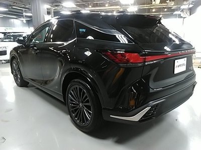 2025 Lexus RX 缩略图 18