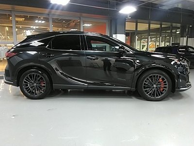 2025 Lexus RX 缩略图 17