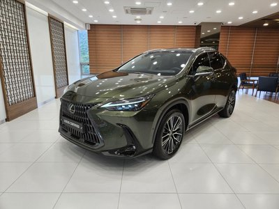 2025 Lexus NX 照片 1
