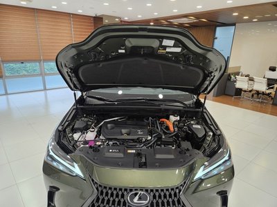 2025 Lexus NX — миниатюра 15