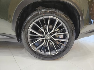 2025 Lexus NX 照片 7