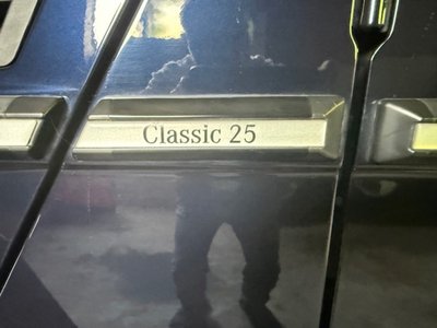 2004 Mercedes-BENZ G-CLASS 缩略图 11