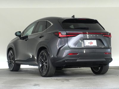 LEXUS NX - 10