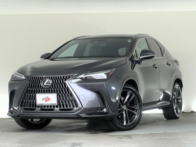 LEXUS NX - 1
