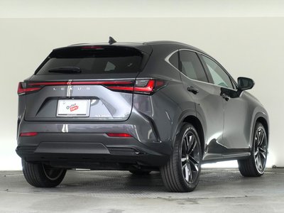 LEXUS NX - 8