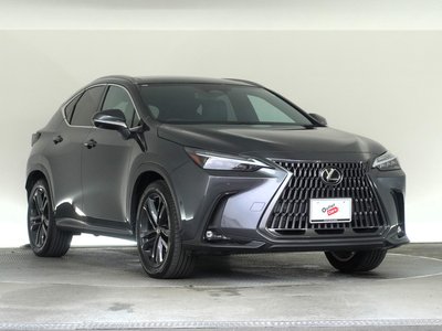 LEXUS NX - 6