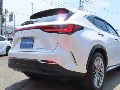 2023 Lexus NX 缩略图 38