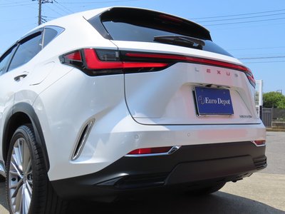 2023 Lexus NX 缩略图 46