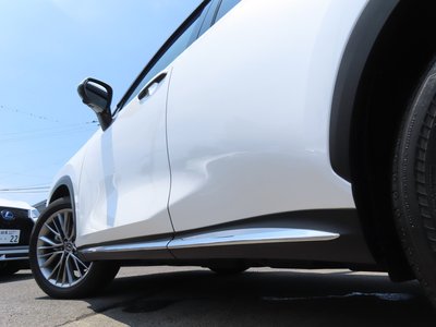 2023 Lexus NX 缩略图 48