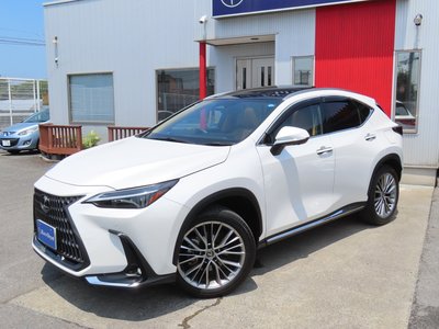 2023 Lexus NX 缩略图 27