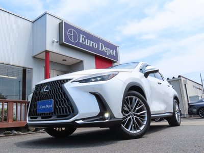 2023 Lexus NX 缩略图 23