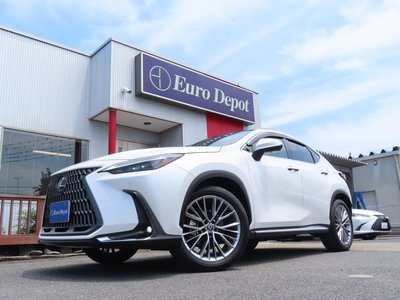 2023 Lexus NX 缩略图 22