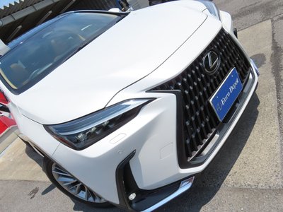 2023 Lexus NX 缩略图 31