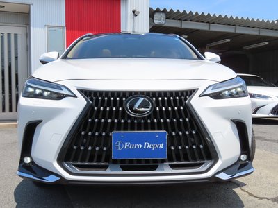 2023 Lexus NX 缩略图 32