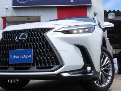 2023 Lexus NX 缩略图 24