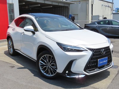 2023 Lexus NX 缩略图 83