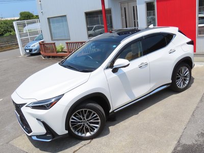 2023 Lexus NX — фото 3
