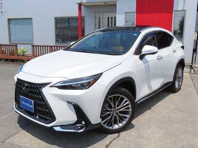 2023 Lexus NX 缩略图 28
