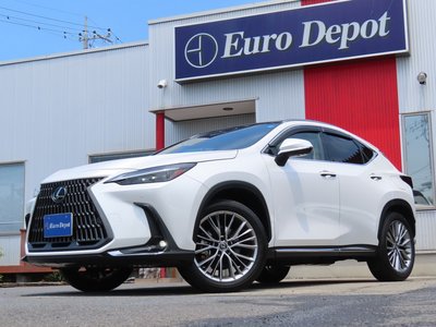 2023 Lexus NX 缩略图 81