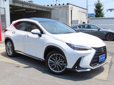 2023 Lexus NX 缩略图 29