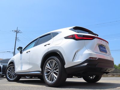 2023 Lexus NX 缩略图 44