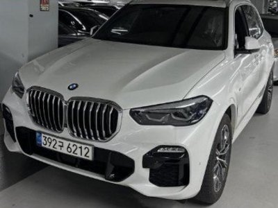 2021 BMW X5 照片 1