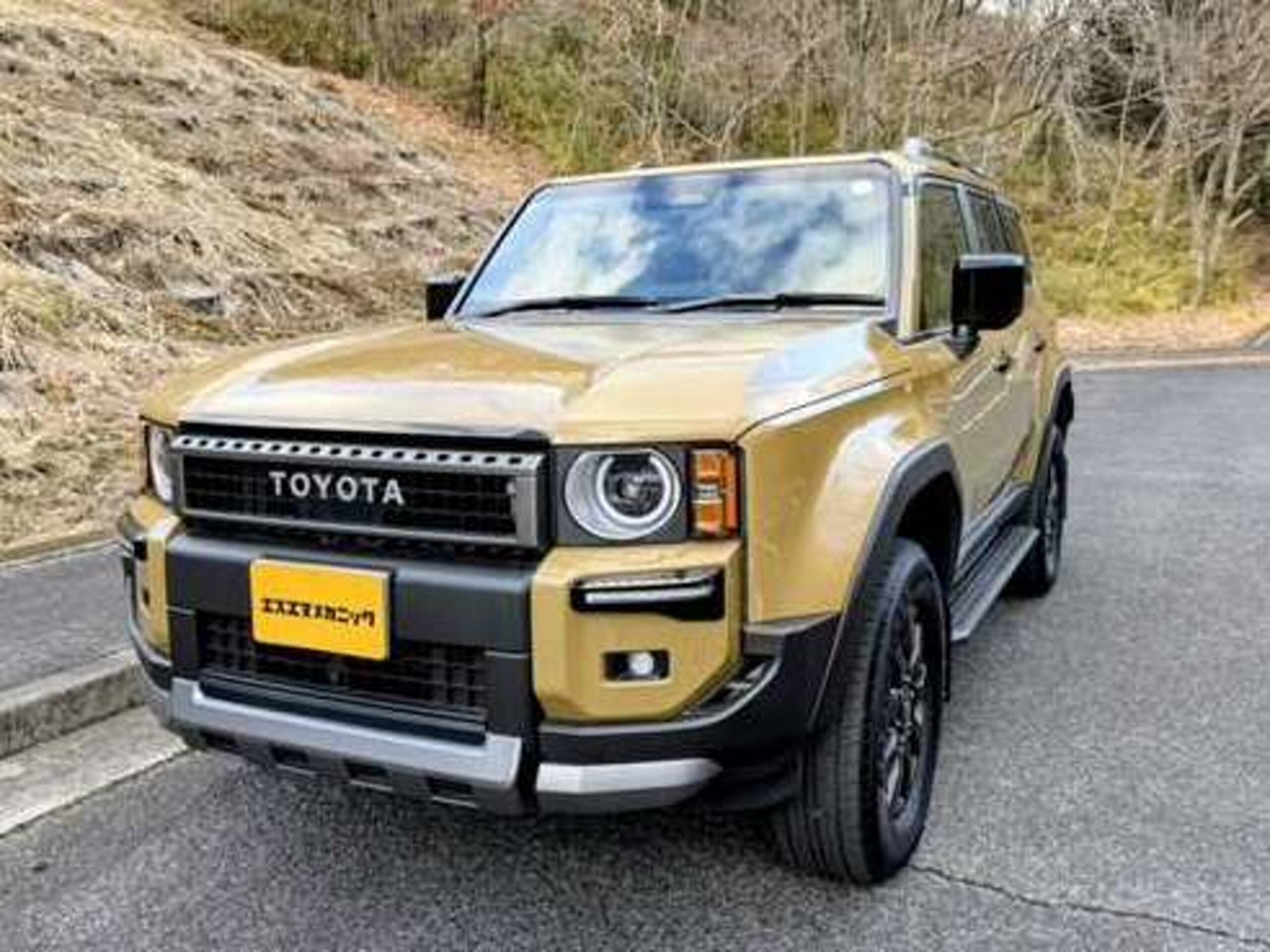 TOYOTA LAND CRUISER 250 - View 1