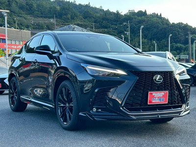 LEXUS NX - 4
