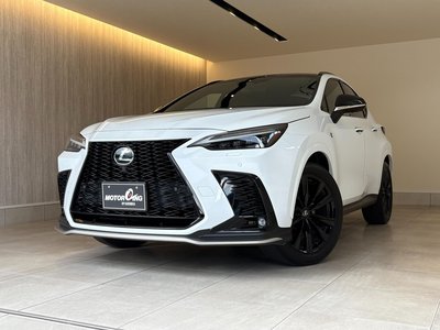 LEXUS NX - 1