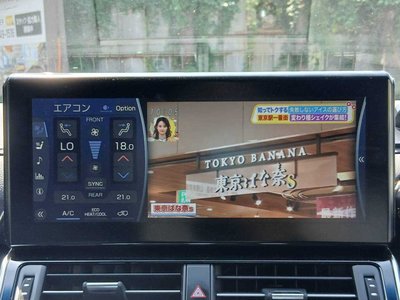 2024 Toyota LAND CRUISER 300 缩略图 25