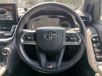 2024 Toyota LAND CRUISER 300 缩略图 15
