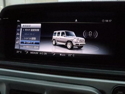 2020 Mercedes-BENZ G-CLASS thumbnail 44