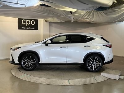 LEXUS NX - 6