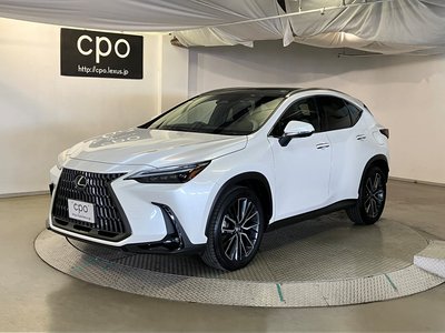 LEXUS NX - 1
