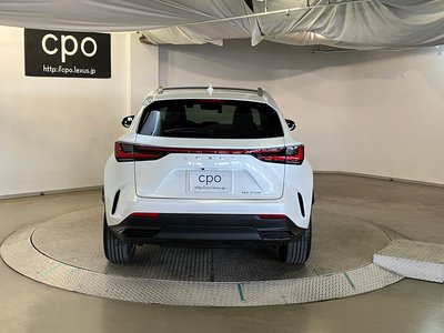 LEXUS NX - 9