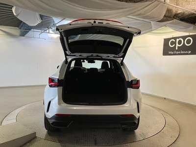 LEXUS NX - 10