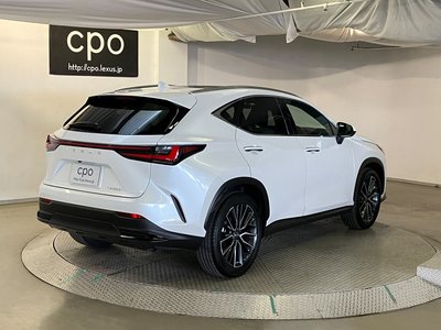LEXUS NX - 2