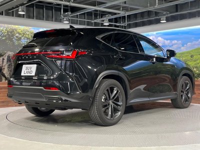 2022 Lexus NX — миниатюра 18