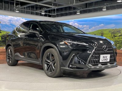 2022 Lexus NX — миниатюра 17