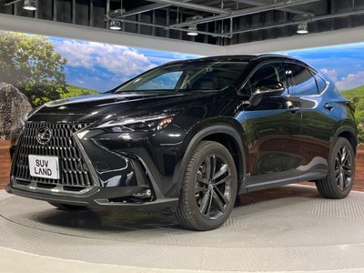 2022 Lexus NX — миниатюра 24