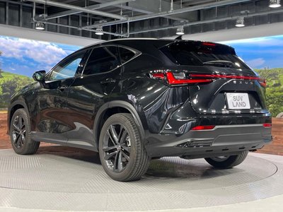 2022 Lexus NX — миниатюра 25