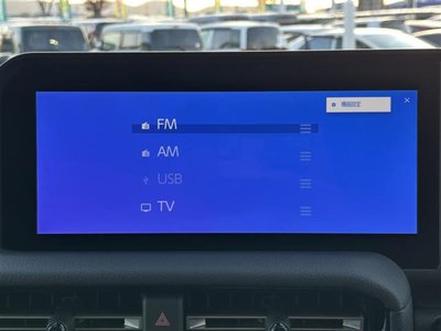 TOYOTA LAND CRUISER 250 - 9