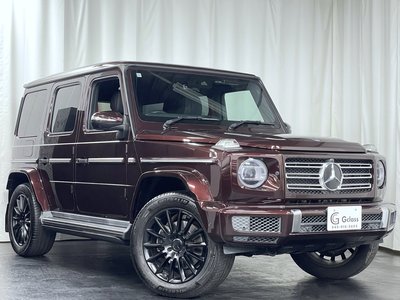 2020 Mercedes-BENZ G-CLASS 缩略图 79