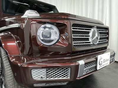 2020 Mercedes-BENZ G-CLASS 缩略图 20