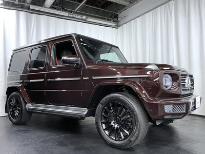 2020 Mercedes-BENZ G-CLASS 缩略图 28