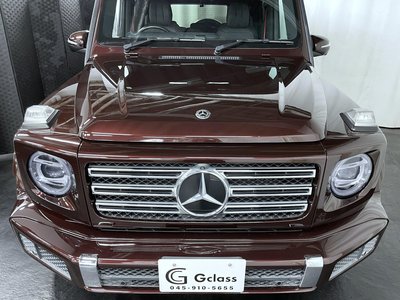 2020 Mercedes-BENZ G-CLASS 缩略图 23