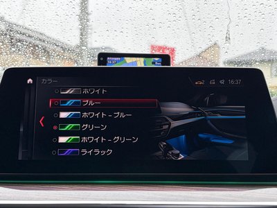 2018 BMW M5 缩略图 45
