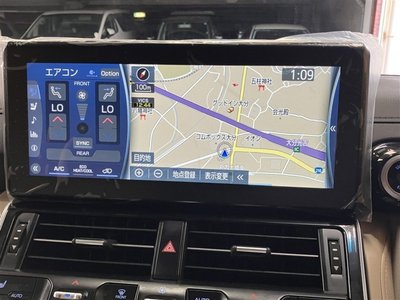2024 Toyota LAND CRUISER 300 photo 6